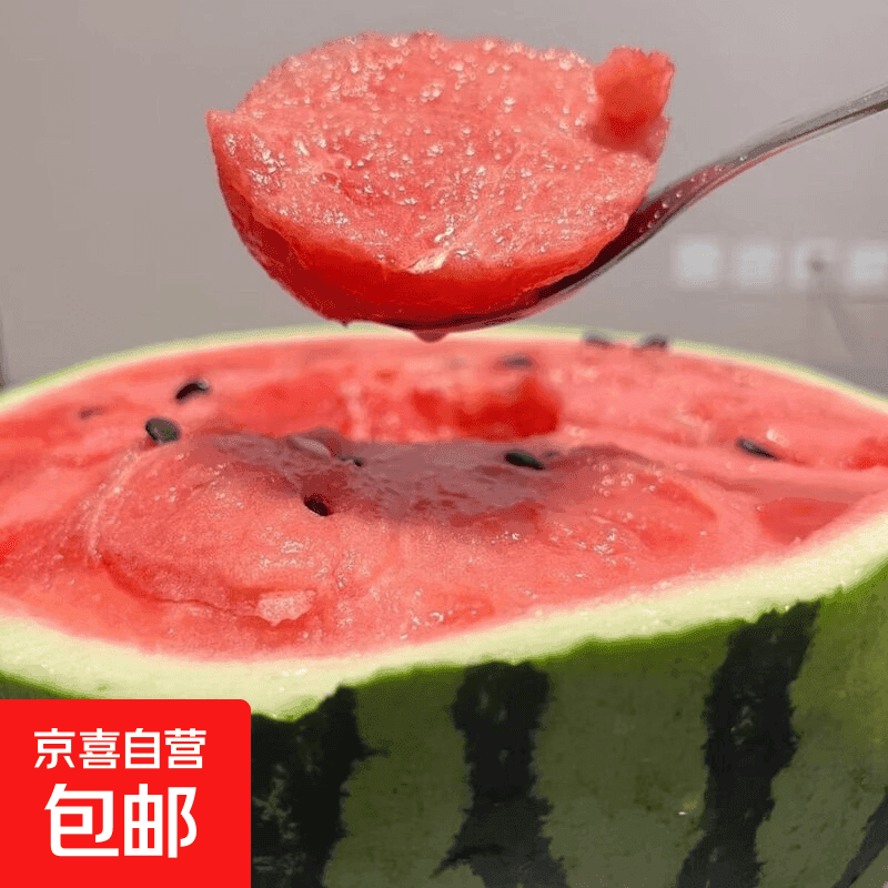 正宗美都麒麟西瓜现摘现发脆甜瓜多汁有籽当季新鲜水果 冰糖麒麟瓜 精品麒麟西瓜/ 6-8斤【越大越甜】一个瓜