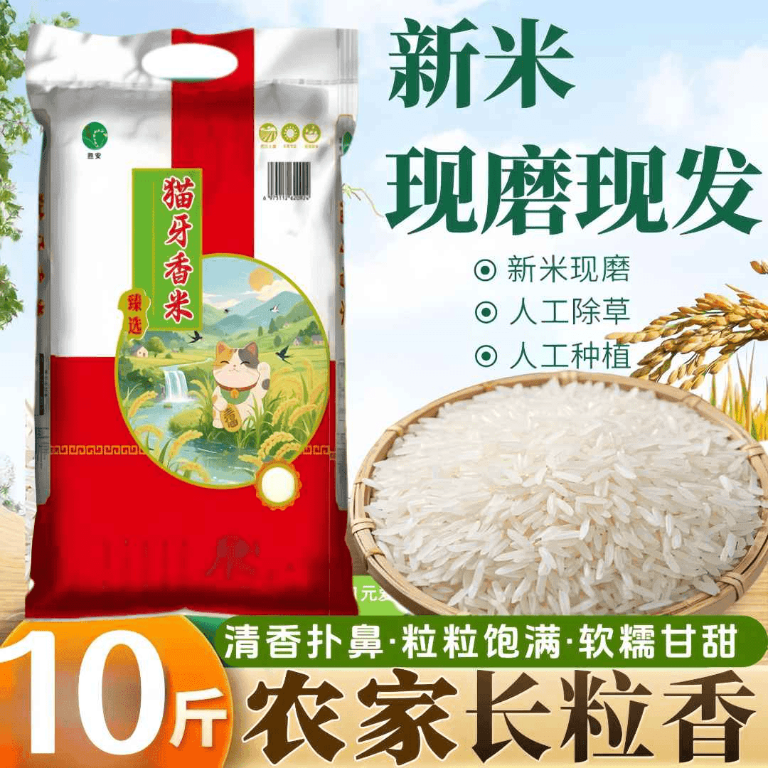 粮心妹农家25年新米大米10斤不抛光不打蜡猫牙长粒香米丝苗米猫牙米大米 10斤爆款猫牙