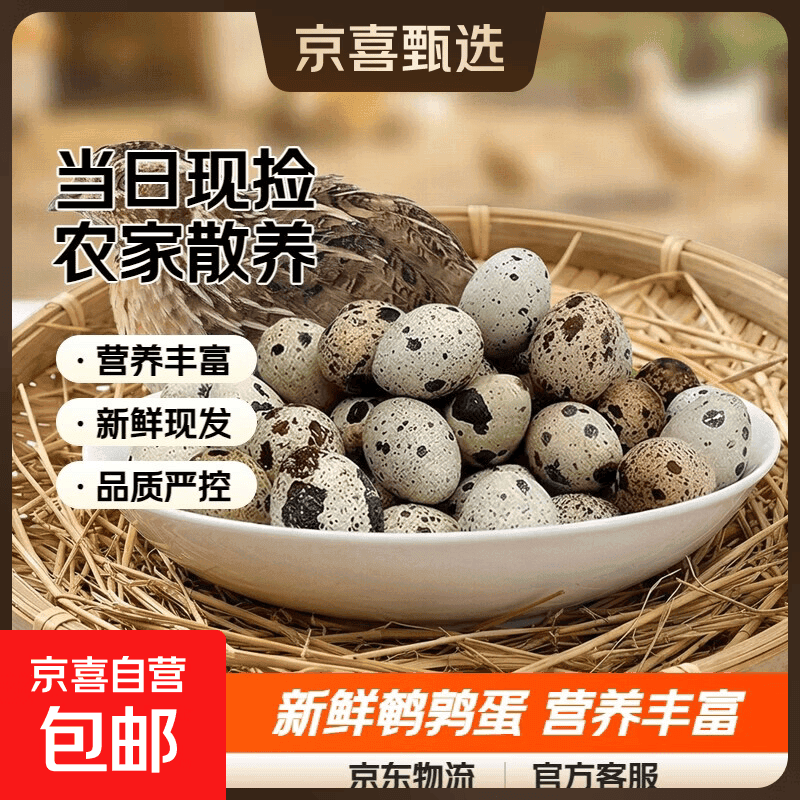 生鲜鹌鹑蛋当日新鲜整箱批发农家杂粮鸟蛋7-9g宝宝辅食生蛋 当日现捡50枚*1箱