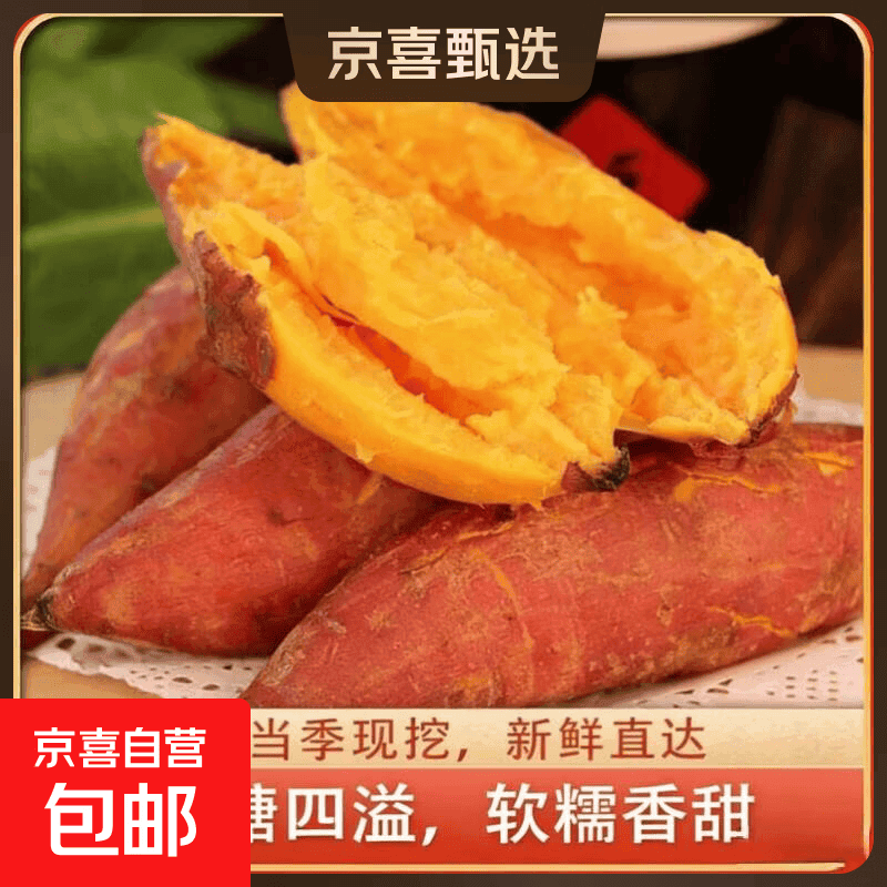 现挖沙地蜜薯红薯新鲜农家糖心番薯烤地瓜软糯批发黄心包邮 沙地蜜薯2斤装中小果 含箱