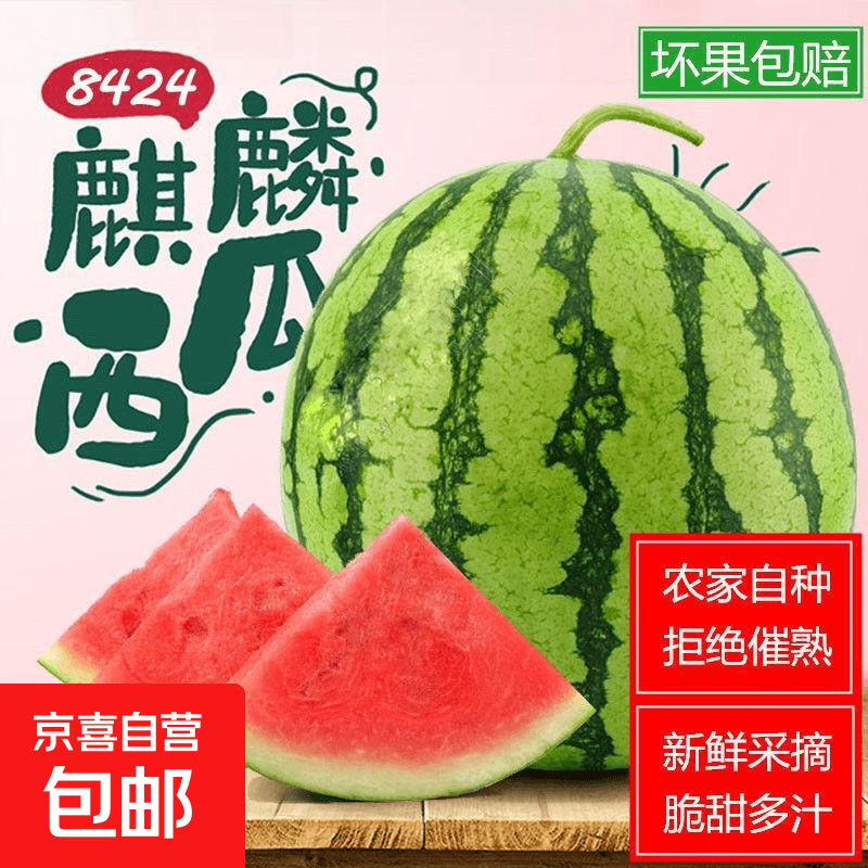 麒麟西瓜水果新鲜有籽西瓜8424美都薄皮脆甜可口 5-6斤