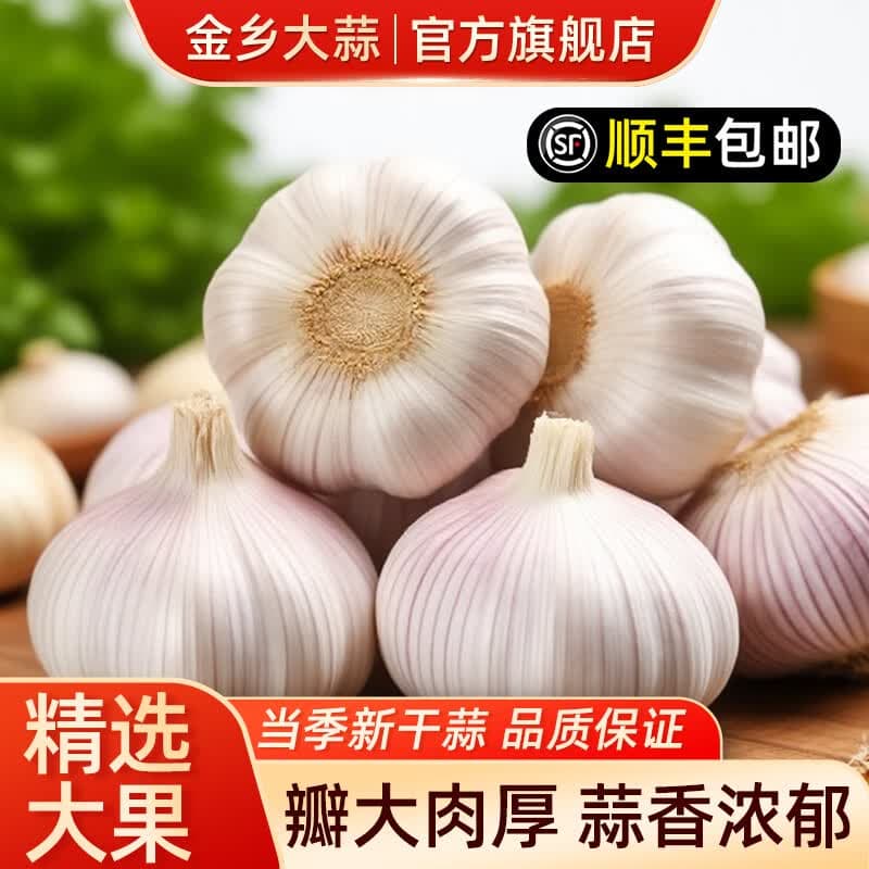 金乡大蒜【新鲜干蒜】山东金乡大蒜干蒜新鲜紫皮蒜头颗粒饱满产地直发 【家庭必备】厨房炒菜必备款 净重3斤 【顺丰包邮】优选中果45-50mm
