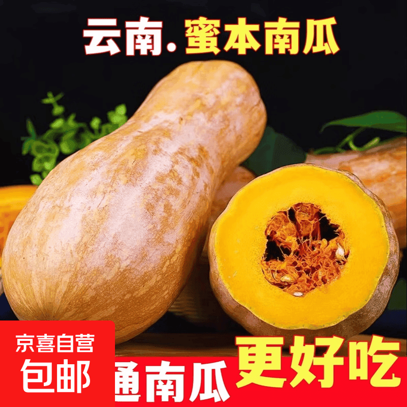 正宗精选云南高原蜜本南瓜甜糯老南瓜批发当季新鲜蔬菜减脂轻食 尝鲜精选蜜本南瓜 4.5斤 -5斤净重
