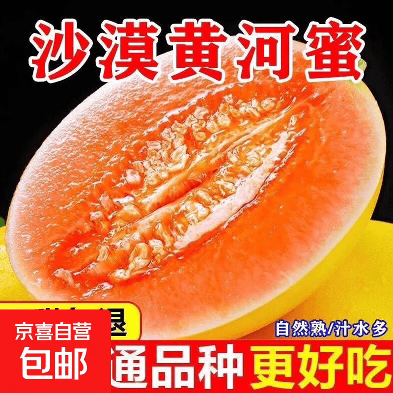 【正宗】民勤蜜瓜黄河蜜瓜甜瓜香甜多汁沙漠蜜瓜新鲜现摘应季水果 民勤蜜瓜净重4-5斤(1-2个装)