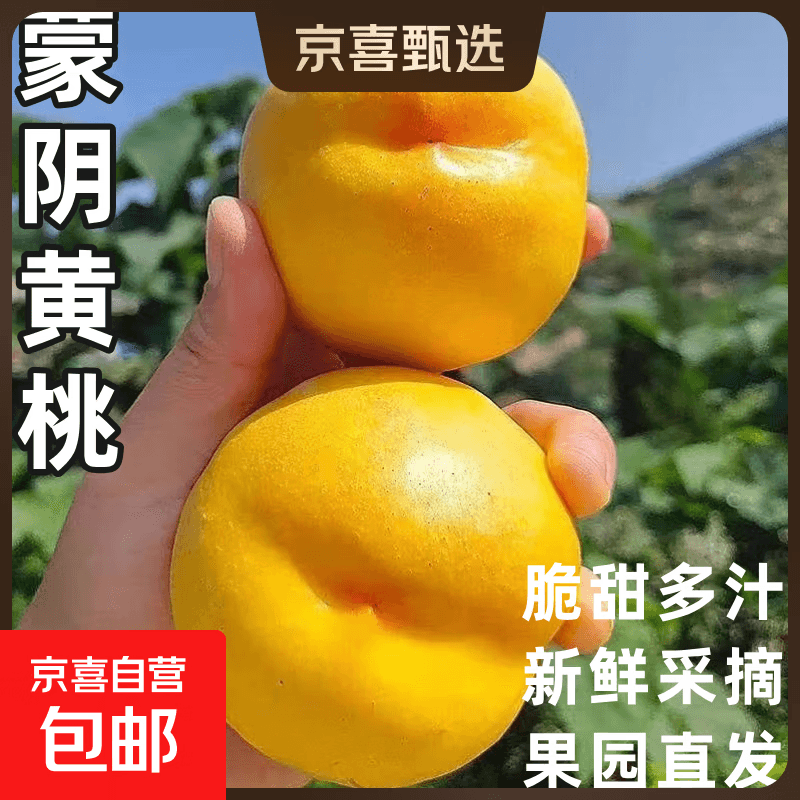 山东蒙阴黄桃蜜油桃脆甜桃子新鲜水果当季水果爆汁应季整箱批发 带箱5斤净重4.6斤（单果60g+）