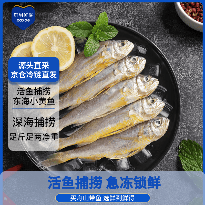 鲜到鲜得 冷冻海捕小黄鱼450g 黄花鱼 深海鱼 生鲜 鱼类 烧烤食材 海鲜