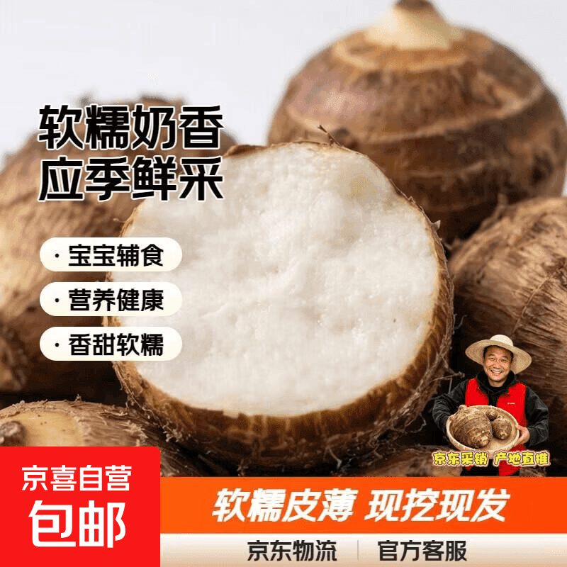正宗山东牛奶小芋头毛芋头芋艿香糯新鲜现挖当季蔬菜整箱批发好吃 牛奶小芋头带箱2斤