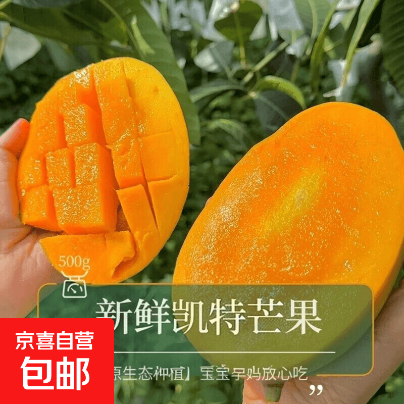 攀枝花 凯特芒 青黄皮 四川甜心芒生熟两吃大芒果当季芒新鲜水果 带箱10斤净重9.5斤单果400g