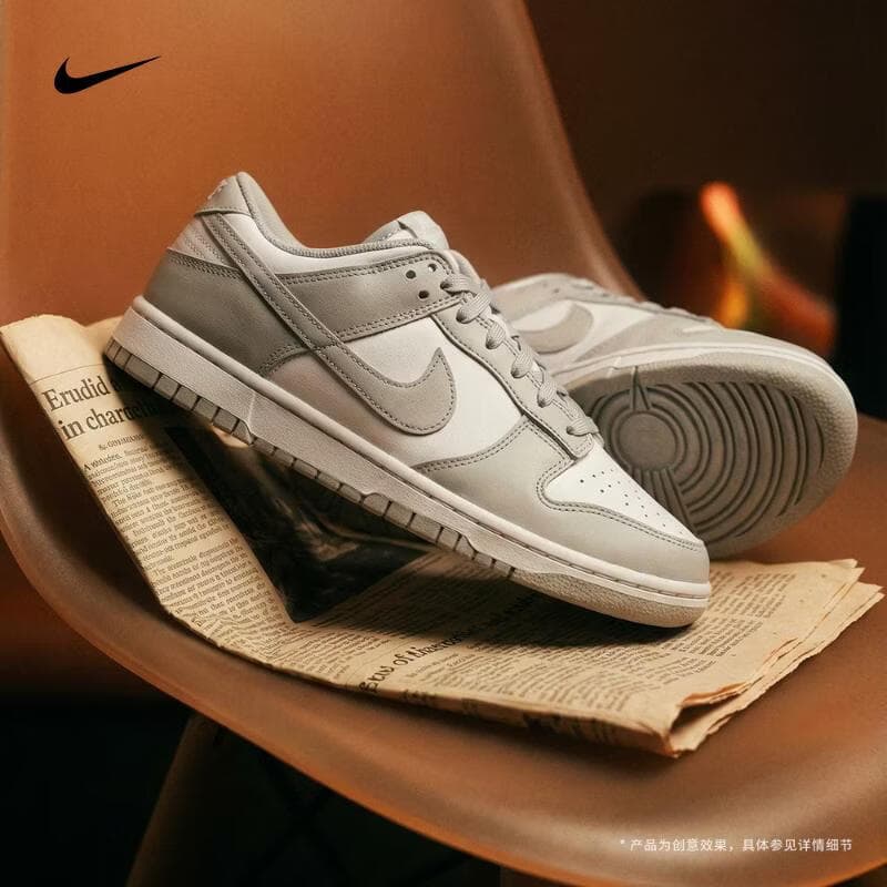 耐克（NIKE）2026年男子NIKE DUNK LOW RETRO运动休闲鞋 HF5441-105 41