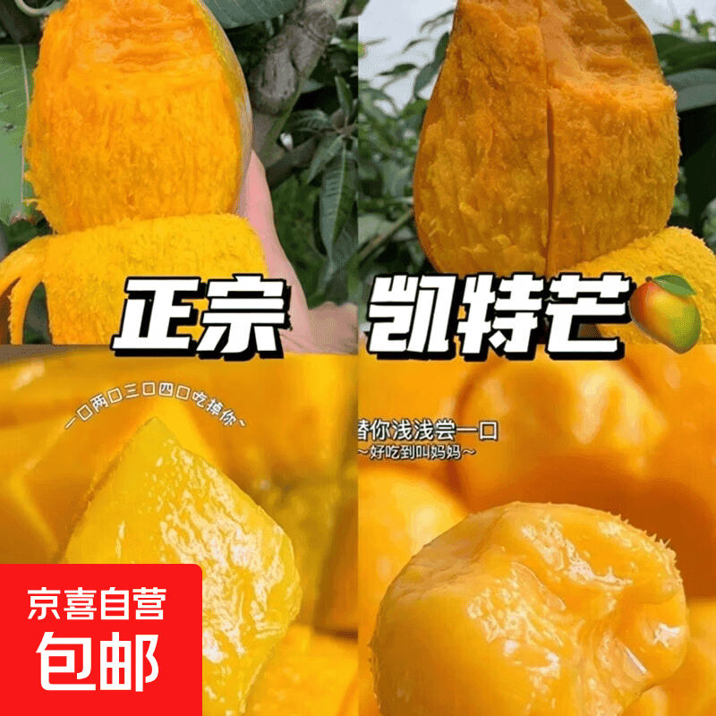 攀枝花凯特芒青黄皮大芒果生熟两吃新鲜采摘当季美味甜心芒凯特 带箱6斤净重5.5斤单果400g