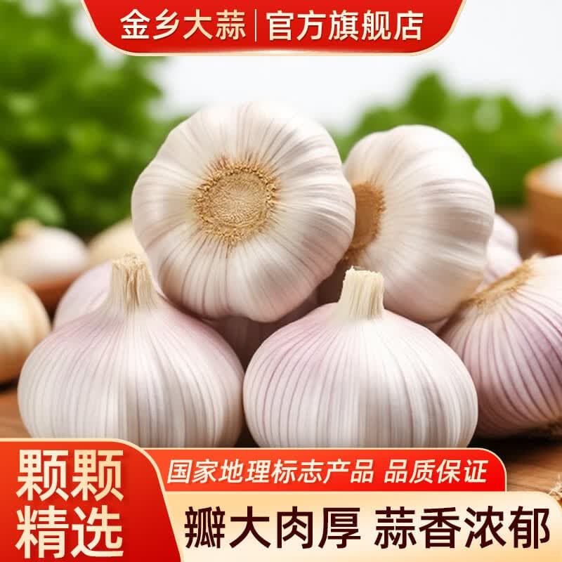 金乡大蒜【新鲜干蒜】山东金乡大蒜干蒜新鲜紫皮蒜头颗粒饱满产地直发 【家庭必备】厨房炒菜必备款 净重3斤 优选中果45-50mm