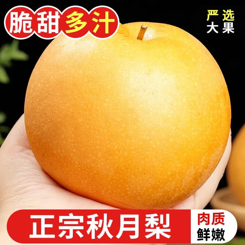 耕禾春山东秋月梨 新鲜水果莱阳冰糖梨 当季新鲜水果脆甜现摘梨子 果农优选【单果250g+】4.5-5斤