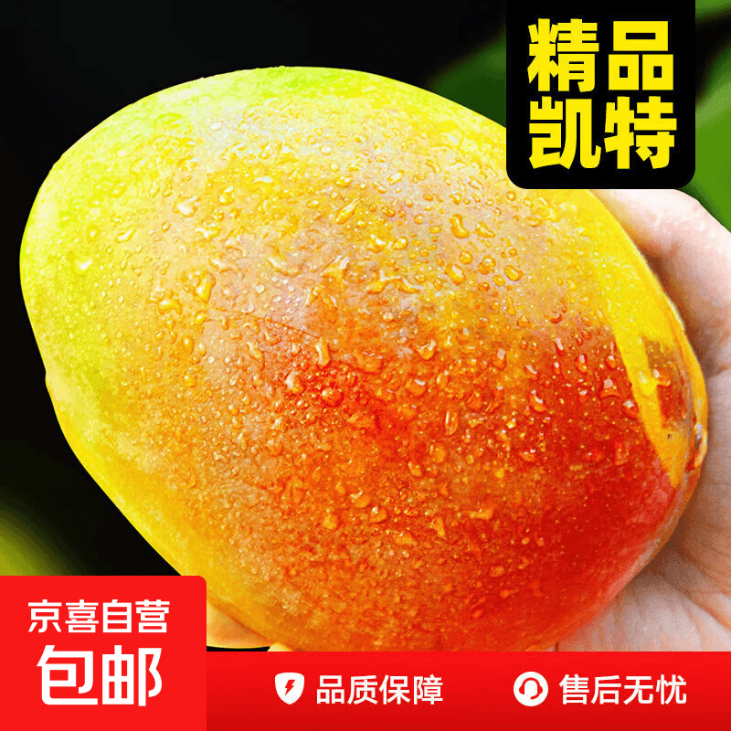 四川攀枝花凯特芒青黄皮当季果整箱汁多核薄无丝肉厚生熟两吃大果 带箱10斤净重9.5斤单果400g