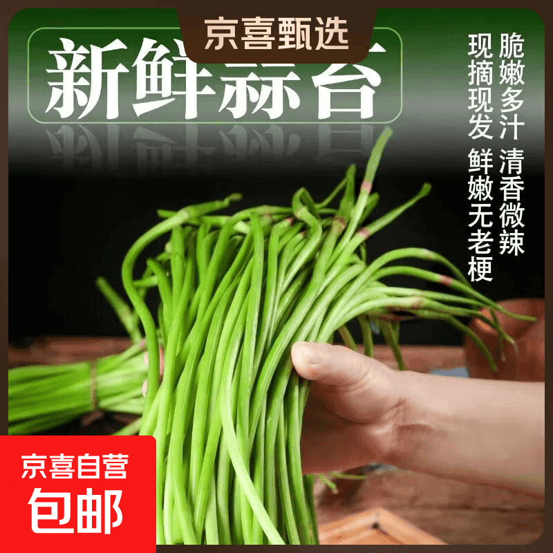 [东东买菜]农家自种蒜苔超市批发蒜苔生鲜蔬菜便宜好吃下饭 新鲜蒜苔3斤含箱