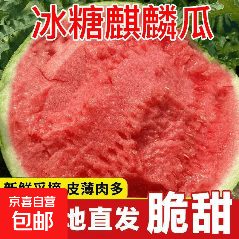 冰糖正宗麒麟西瓜脆甜西瓜8424薄皮新鲜水果自提鲜果麒麟瓜 5-6斤