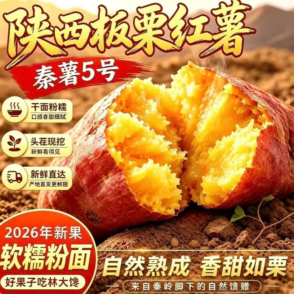 林大馋陕西正宗新鲜板栗红薯蜜薯 现挖粉糯番薯地瓜 粉面薄皮香甜糯蔬菜 5斤精选中果【净4.7斤起】单果125g起 粉糯香甜秦薯5号 秦岭产地直发-普通人没吃过的品种