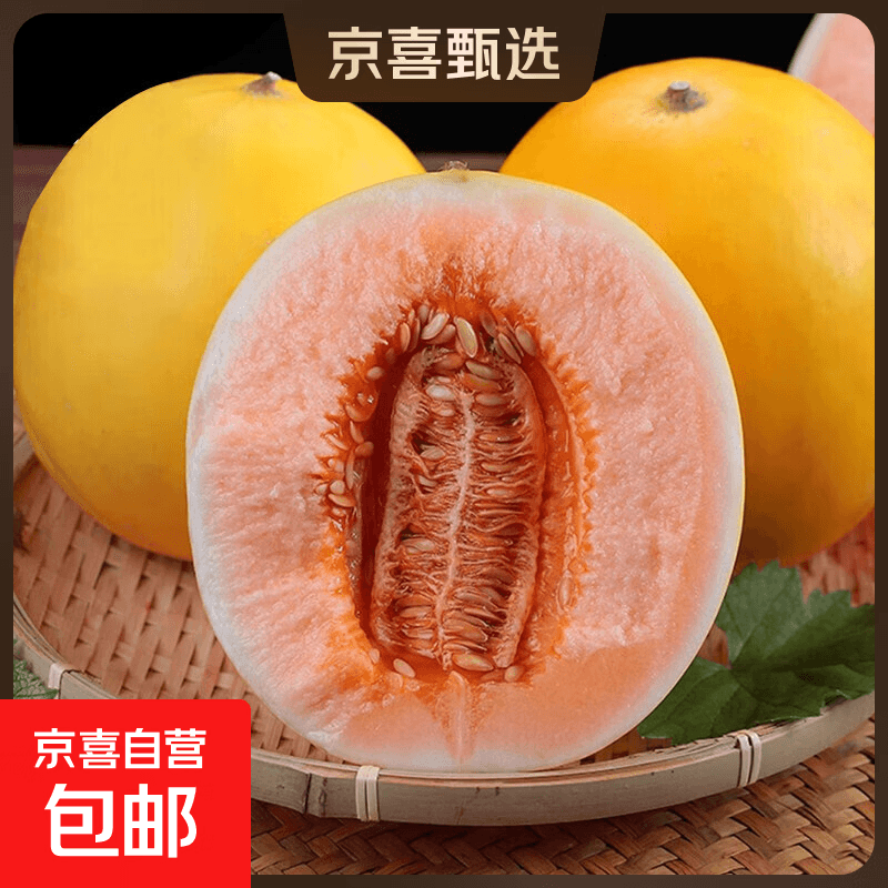 本土甘肃民勤蜜瓜 精品甜瓜大果细腻无渣 新鲜水果现摘现发 带箱9–10斤