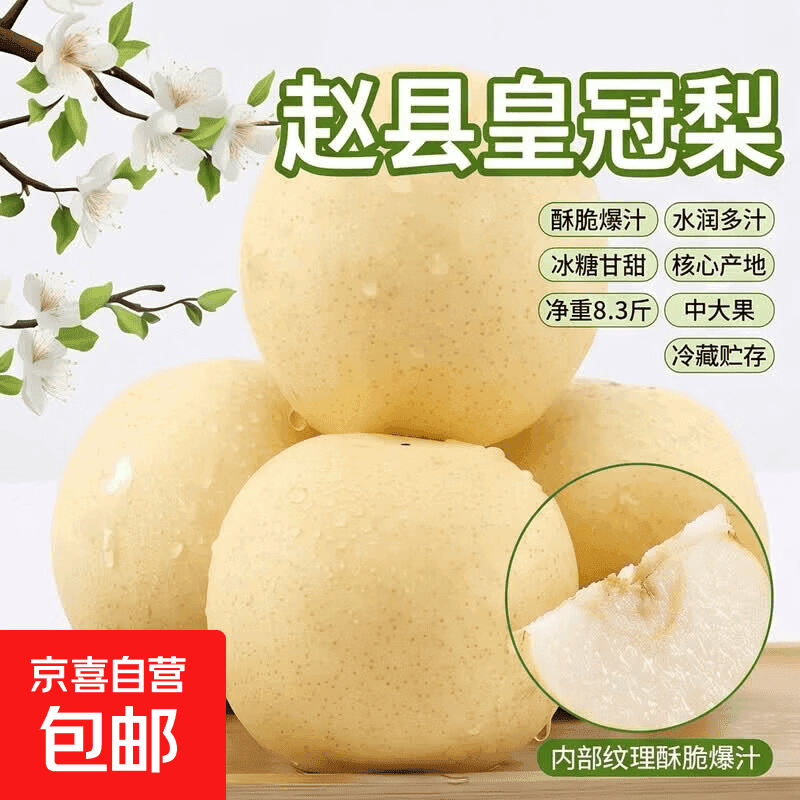 赵县皇冠梨正宗河北赵县梨新鲜水果产地直发 带箱5.2斤净重4.6斤大果230g