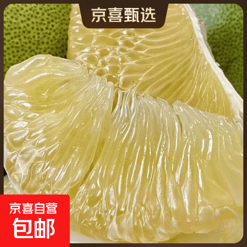 京喜加青皮发货收到止水几天口感更佳】云南傣柚 白肉柚子新鲜柚子1粒装 2粒装-单果净重1.5-2斤