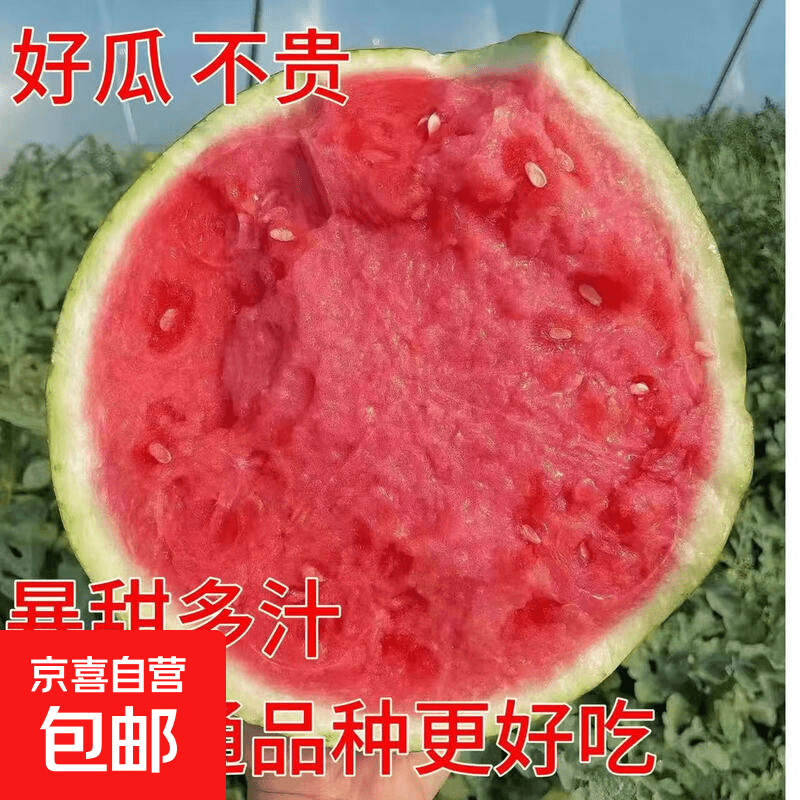 现摘麒麟西瓜一整箱安徽周边次日达包熟包甜坏果包赔新鲜水果西瓜 6-8斤【新鲜现摘】