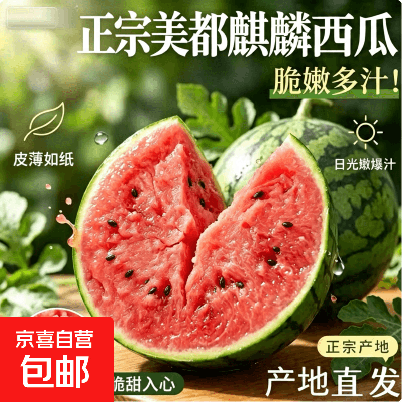 【新鲜直达】河南美都麒麟西瓜 新鲜头茬当季孕妇水果脆多汁有籽 净重5-6斤/个