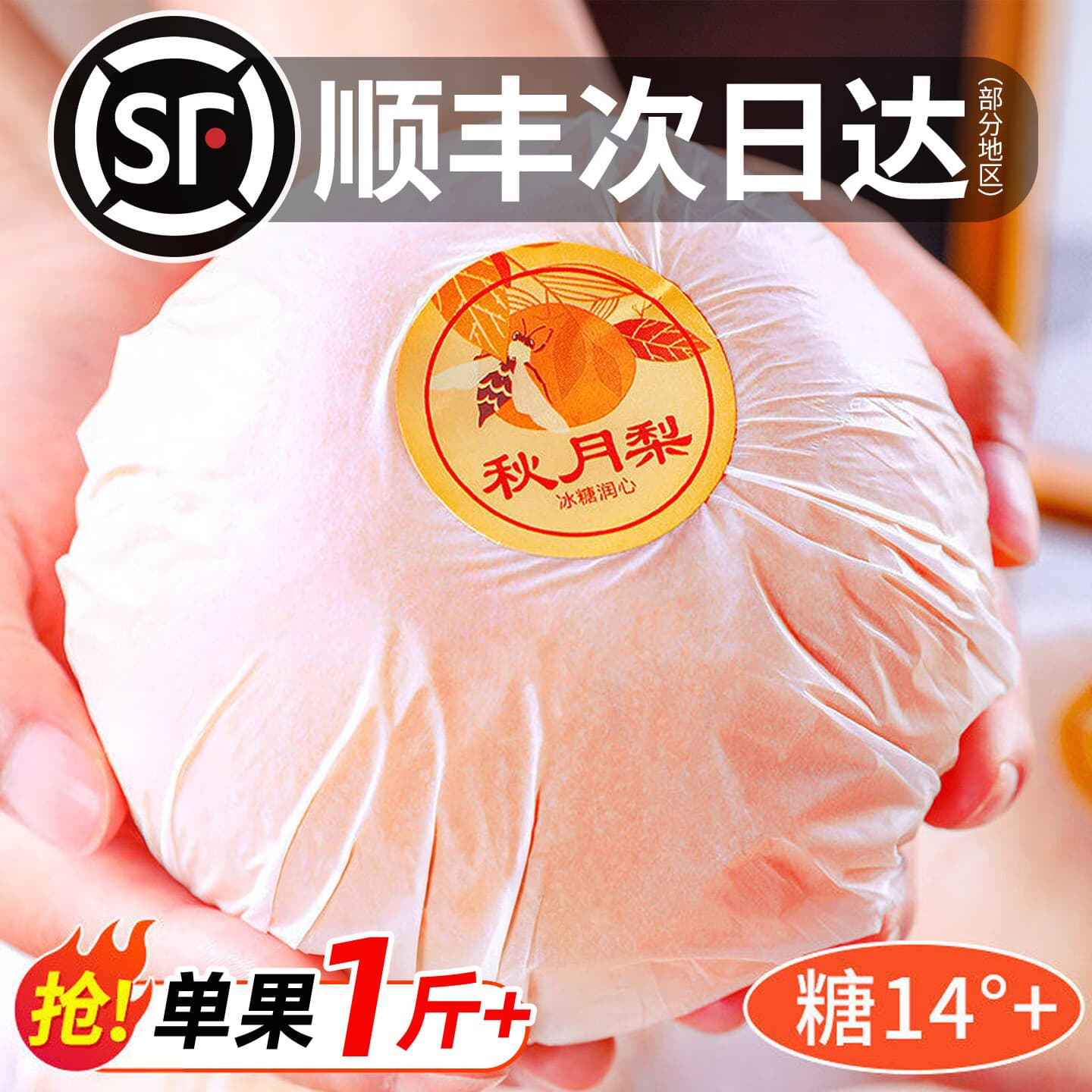 山姆伯伯 山东莱阳冰糖秋月梨【多地次日达】脆甜梨子雪梨年货水果礼盒 爆卖5斤装 精品7-9粒（净重4.5斤） S+级｜甄选手挑果