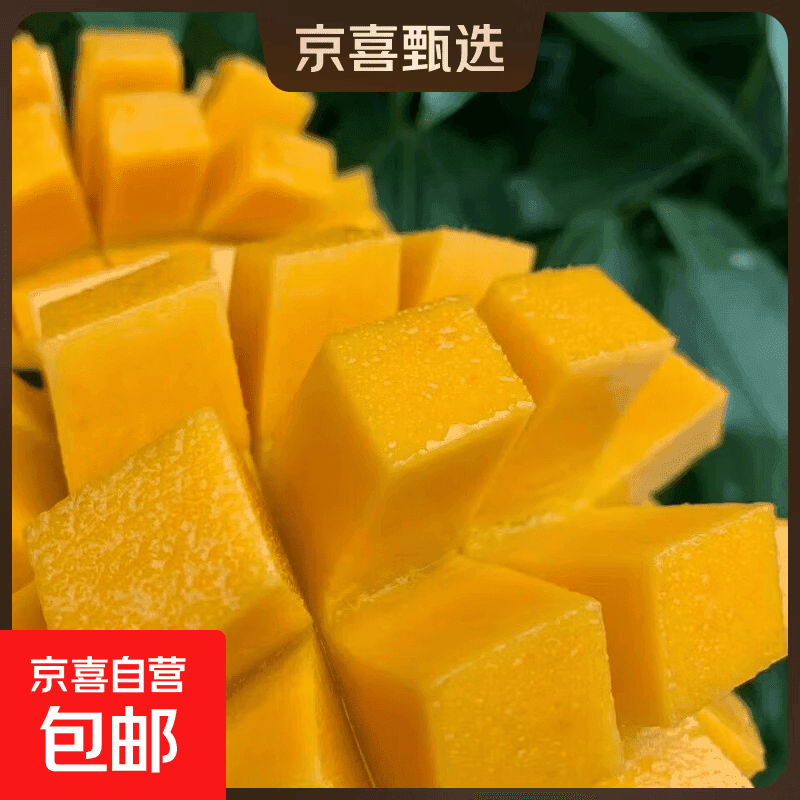 露天自然生长凯特芒，果香纯粹果肉扎实水果口感软糯赛似榴莲 带箱9斤	净重8斤 300g+