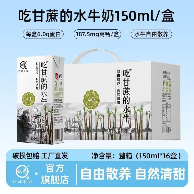 认养水牛奶儿童高钙早餐奶吃甘蔗的水牛全脂纯牛奶8月日期 150mL*16盒*2箱