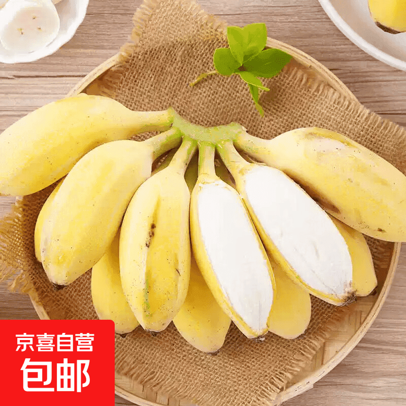 京喜加新鲜现摘广西小米蕉青皮香蕉发货放熟吃新鲜水果小香蕉  小米蕉 带箱9斤净重8.3斤+