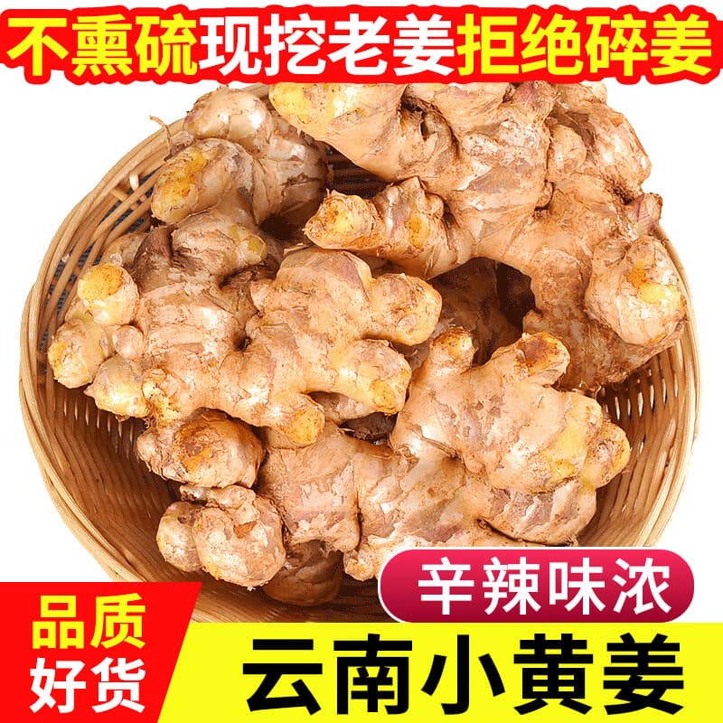 中鲜生云南小黄姜现挖生姜农家自种老姜生鲜蔬菜 3斤【净重】正宗云南小黄姜