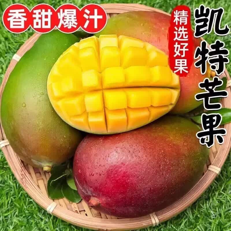 萧阿姨凯特芒 现摘大芒果新鲜水果时令芒果香甜多汁孕妇水果生鲜芒果b 净重8.5-9单果300g+