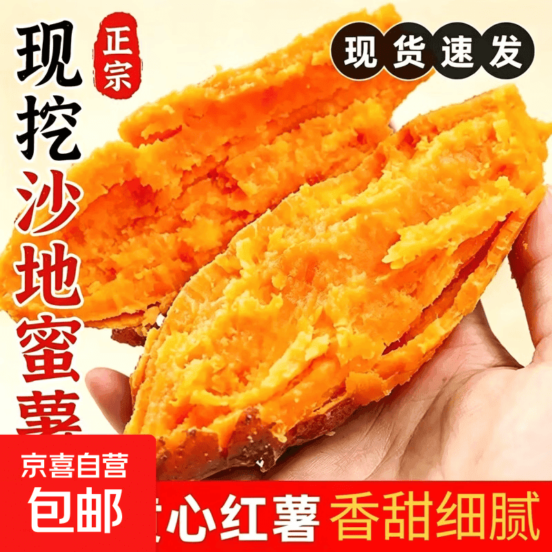 现挖沙地蜜薯空气炸锅红薯新鲜沙地板栗薯农家自种源头直发包邮 沙地蜜薯 1斤 含箱 中大果