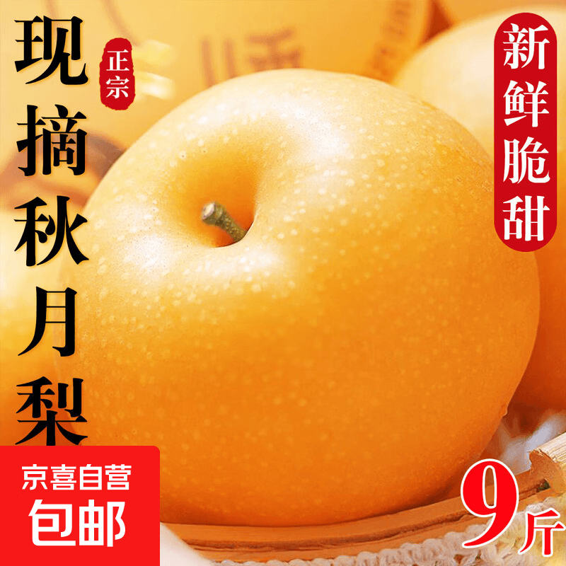山东秋月梨 新鲜水果莱阳冰糖梨 当季新鲜水果脆甜现摘梨子 中果【单果300g-350g】 带箱5斤【超划算】净重4.5斤
