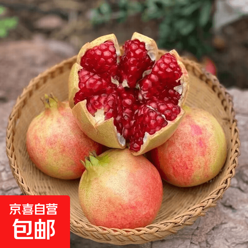 正宗会理甜石榴会理石榴大粒软籽时令当季水果石榴新鲜 石榴带箱2斤（净重1.6斤+）