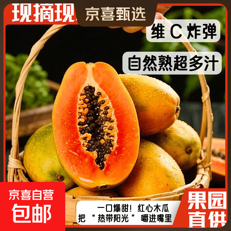 京喜加红心牛奶木瓜现摘新鲜水果冰糖心当季树上自然熟高端品质 净重5斤 木瓜400g+