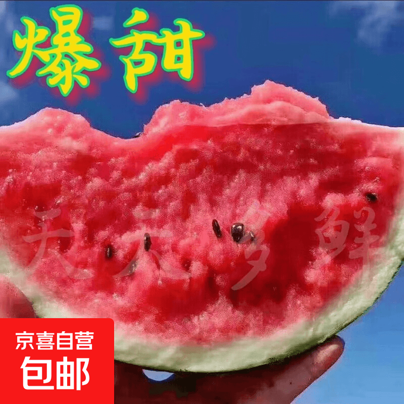 现摘麒麟西瓜美都8424冰糖新鲜应季有籽薄皮整箱水果 净重8-10斤（一个瓜）