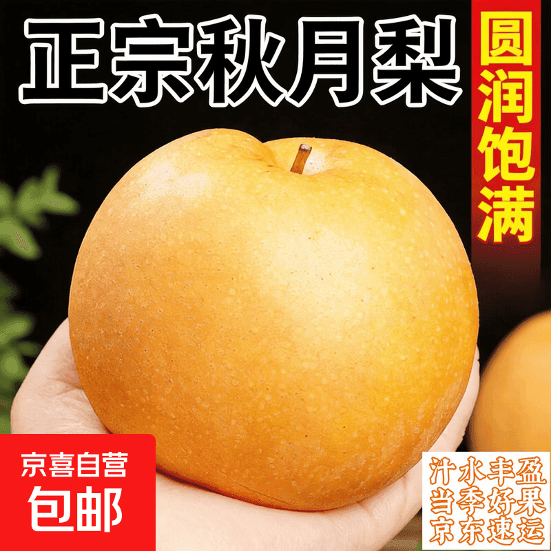 京喜加正宗秋月梨中秋现摘现发水果新鲜整箱当季梨子山东应季京东包邮 【脆甜多汁】当季山东秋月梨 (单果克重300g+) 【彩箱 送礼有面】带箱5斤（净重4.5斤＋）