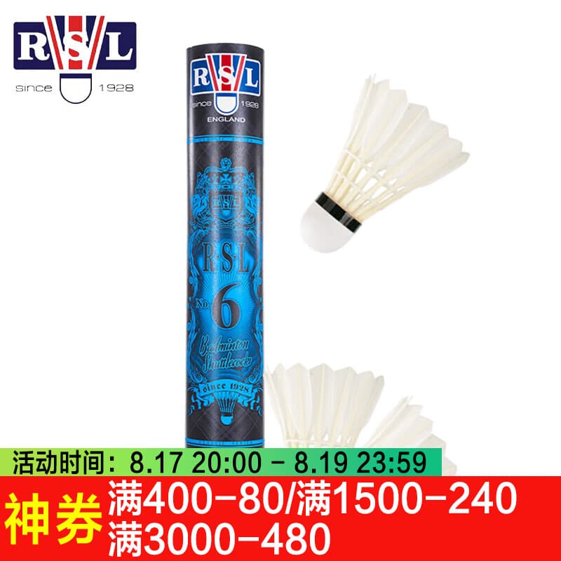 亚狮龙羽毛球12只装耐打稳定训练比赛专业用球 RSL6 77速 1筒