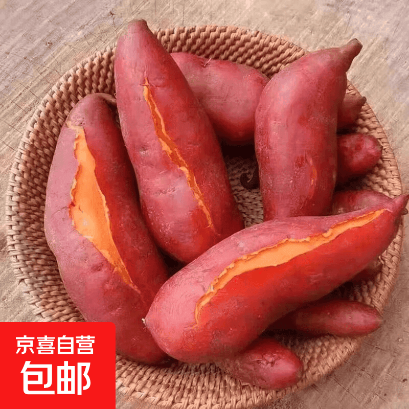 营养蜜薯甜蜜西瓜红六鳌蜜薯糖心板栗番薯10斤农家自种地瓜包邮 带箱2斤小果1-3两