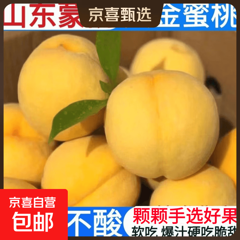 正宗山东蒙阴纯甜大黄桃应季新鲜水果当季黄金蜜脆软红心毛桃锦绣 蒙阴黄毛桃单果120g+ 带箱2斤装