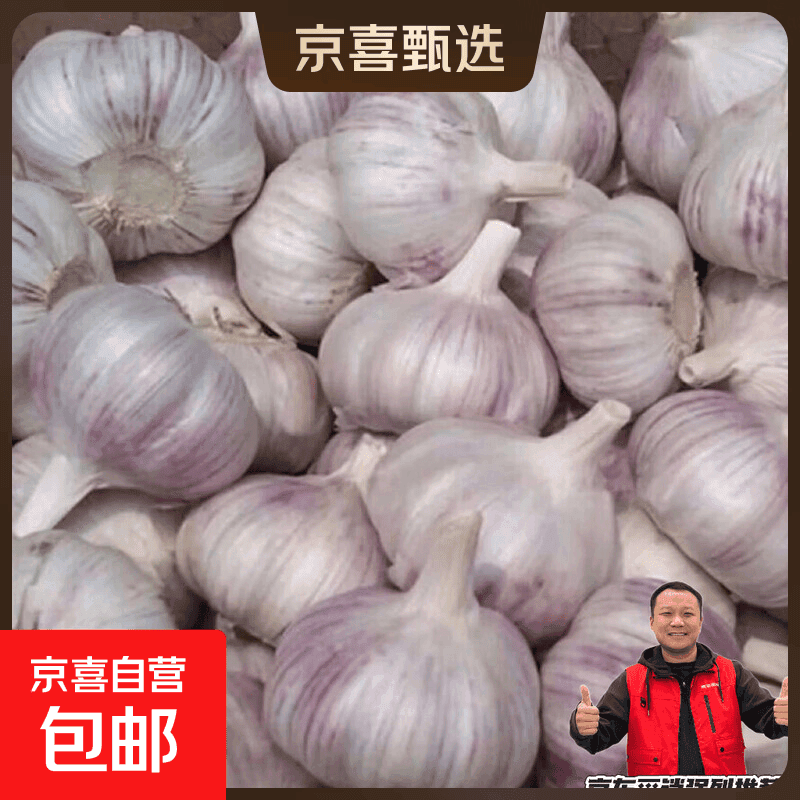 紫皮大蒜特大干蒜今年新蒜超市品质蔬菜整箱批发（4-5.5公分） 重量 河南大蒜带箱1斤（净重0.9斤）