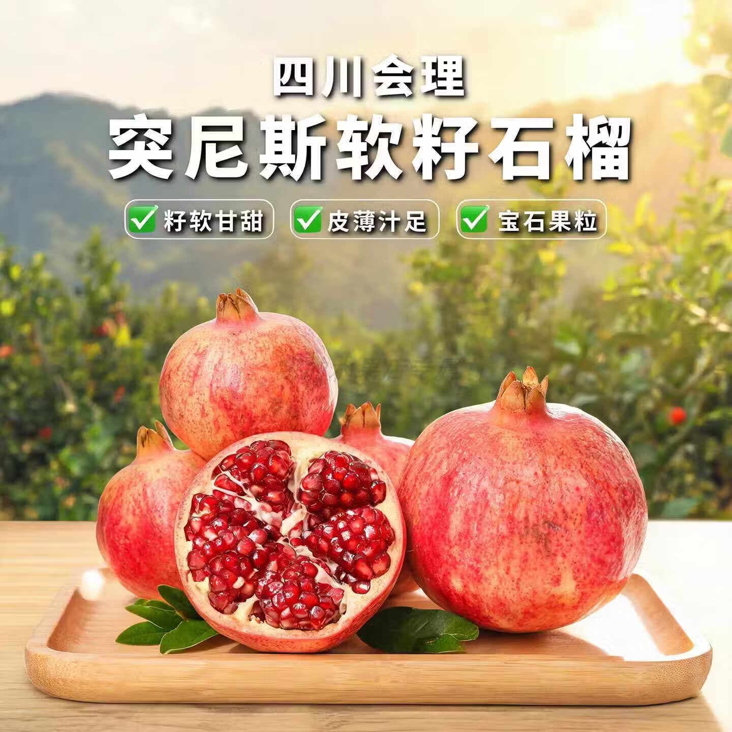耕禾春四川会理突尼斯软籽石榴 新鲜水果红番石榴甜石榴应季时令水果 4.5-5斤单果300-350g