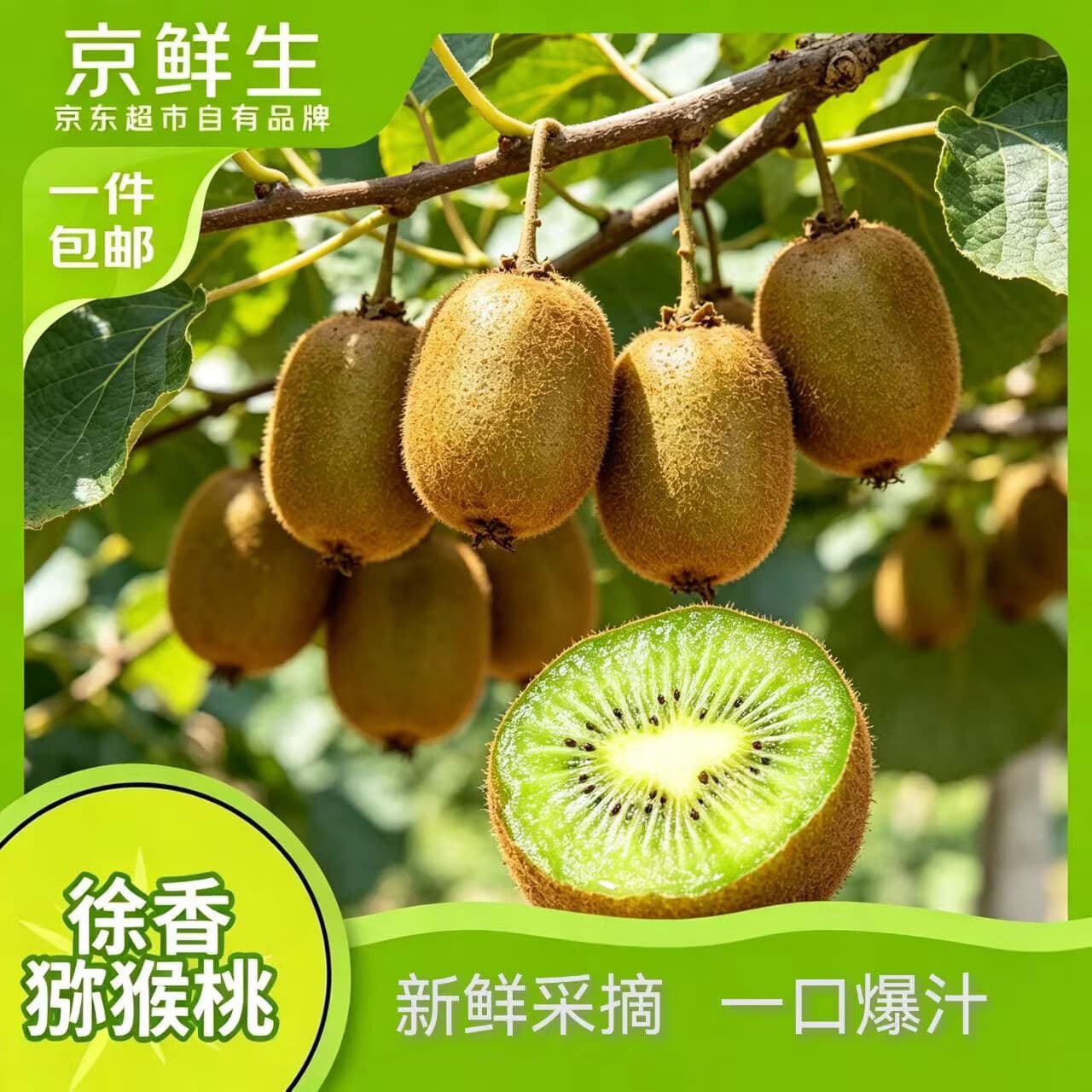 京鲜生陕西周至徐香绿心猕猴桃 24粒单果90-110g 当季新鲜水果 源头直发