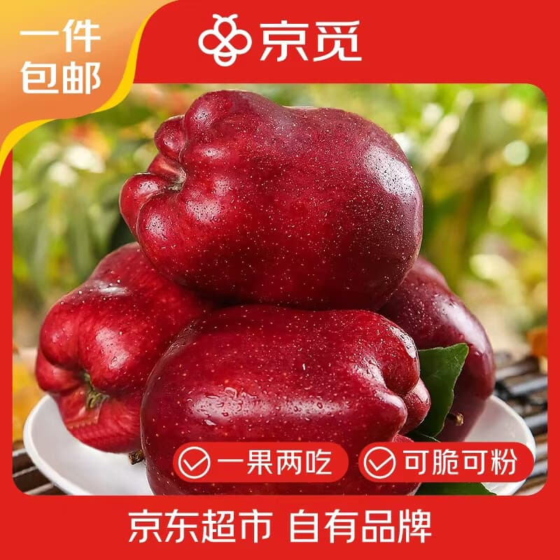 京觅甘肃天水花牛苹果 净重4.5斤 单果155g+  粉面苹果 源头直发