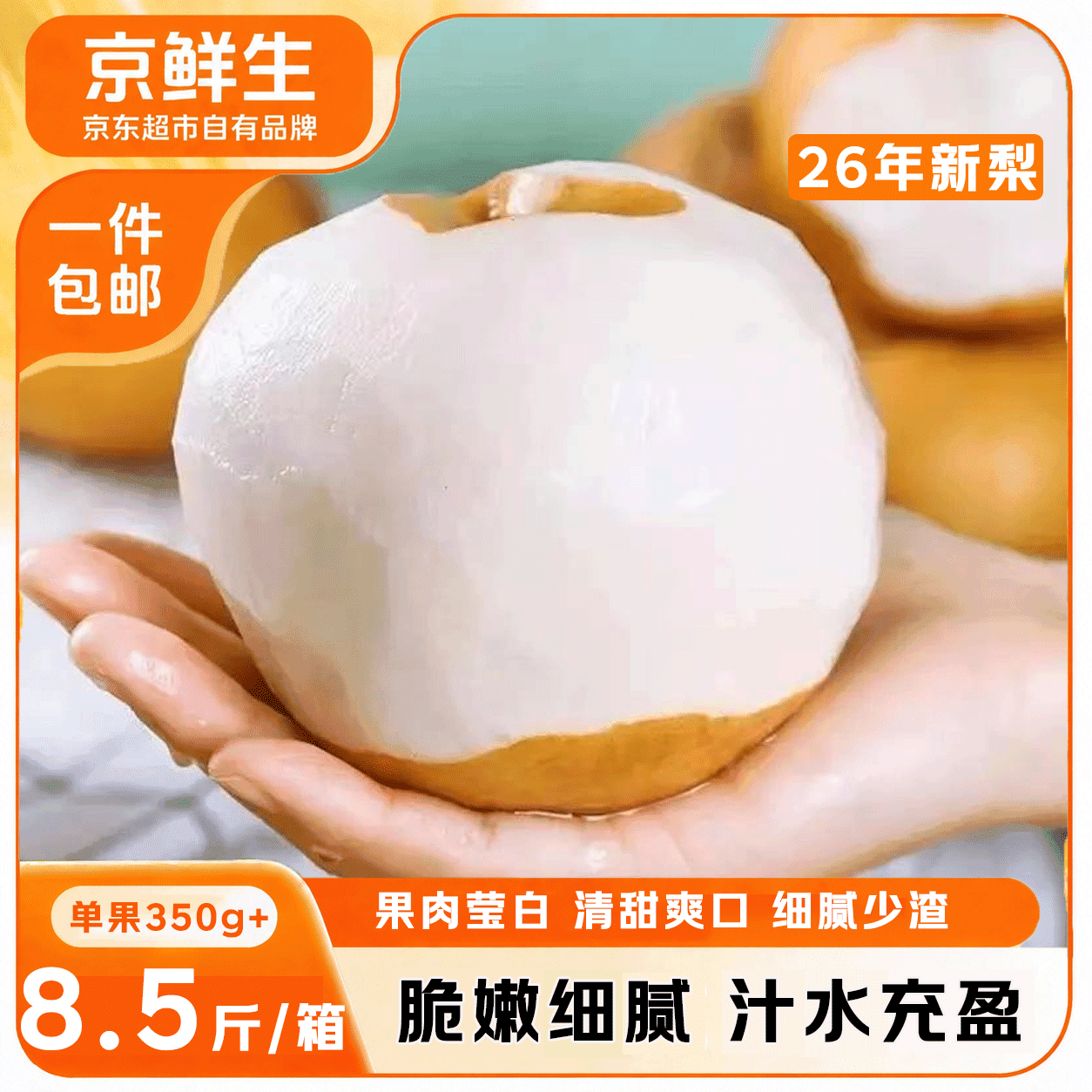 京鲜生正宗山东莱阳秋月梨净重8.5斤单果350g+爆汁 新鲜水果 源头直发