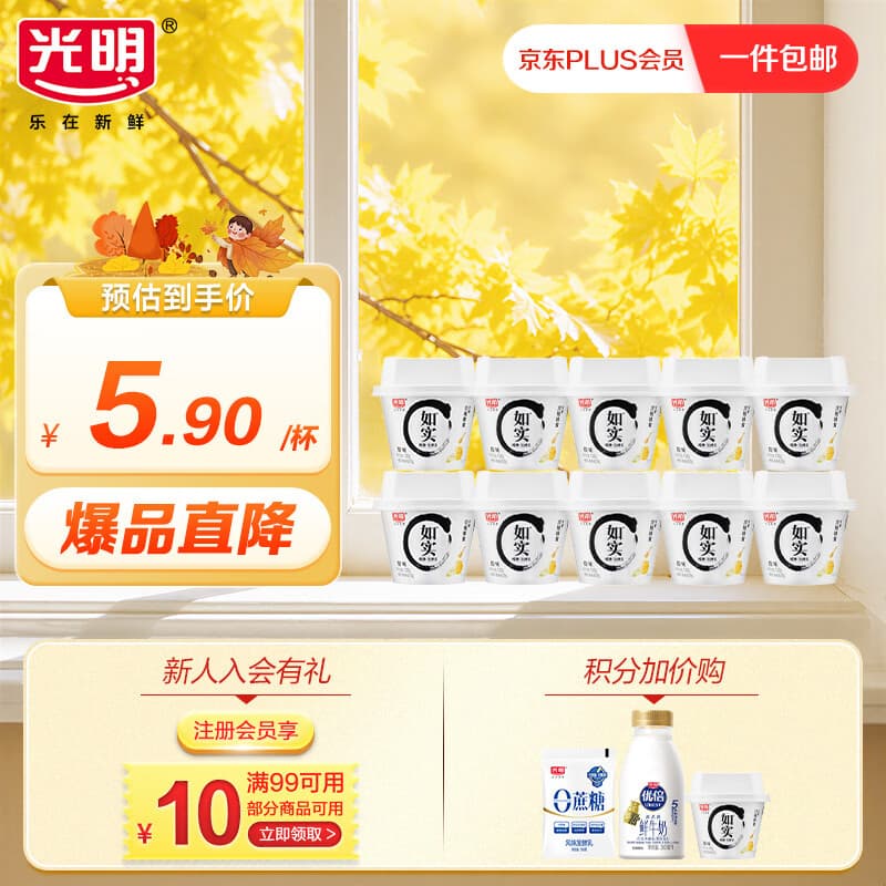光明低温酸奶 如实纯净发酵乳（内赠洋槐蜂蜜）135g*10 0蔗糖