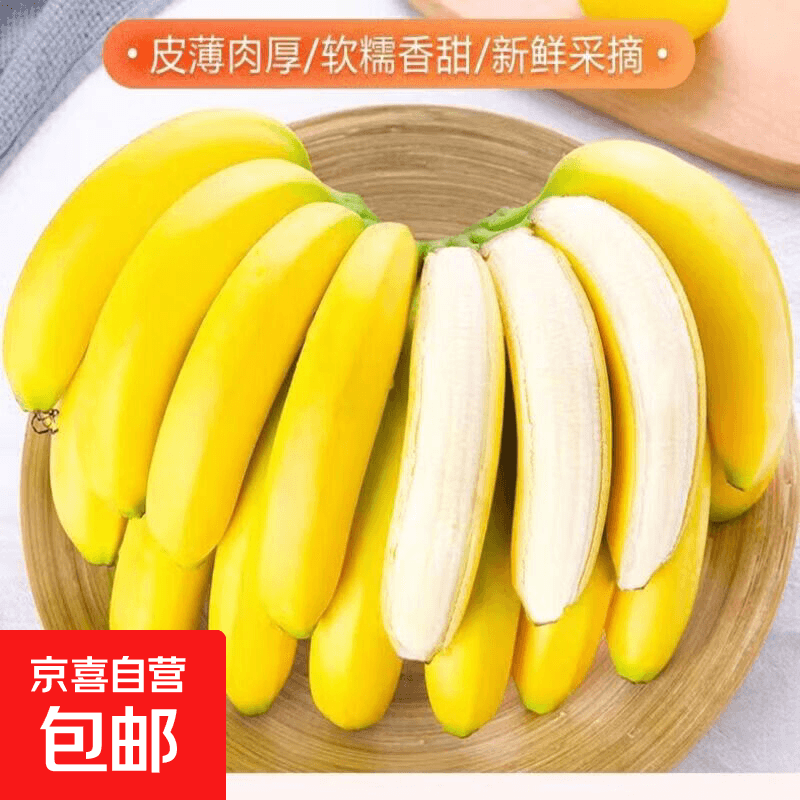 京喜加正宗湛江香蕉香甜软糯细腻果肉入口顺滑口感绝佳老人小孩更喜欢吃 全家吃到爽超划算整箱8斤中果 回家自己催熟更安心 香甜软糯
