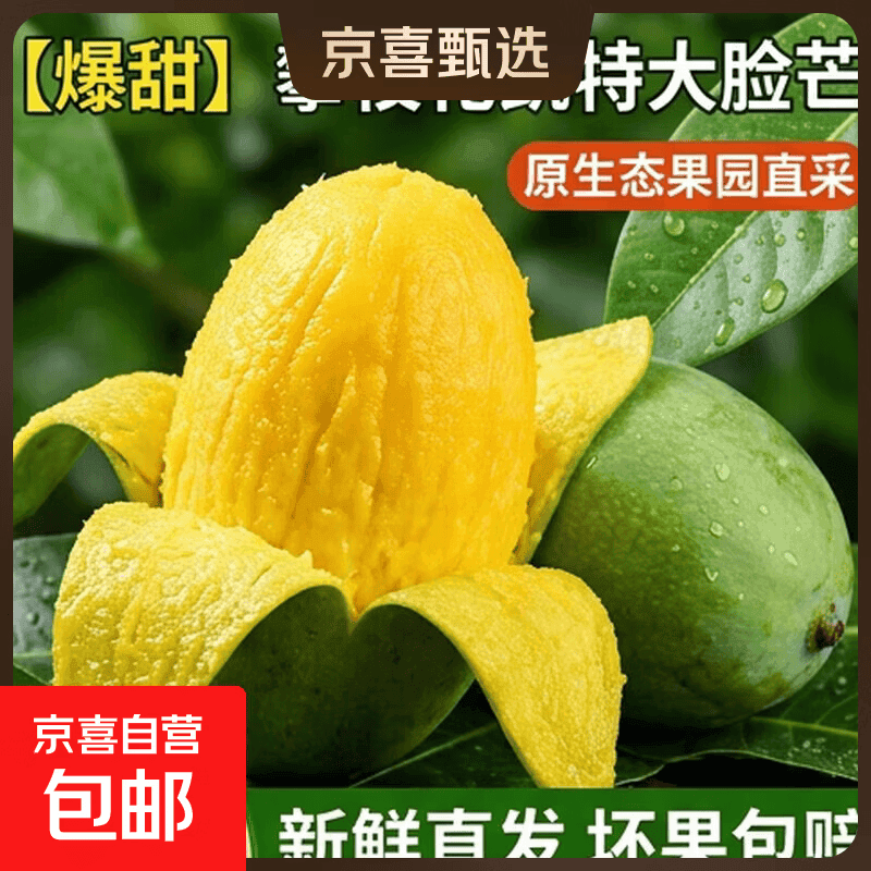 【爆甜】攀枝花凯特芒果大脸芒新鲜大芒果特大青皮芒当季整箱X 攀枝花凯特大芒果 含箱2斤【单果200g起】（净重1.7斤）