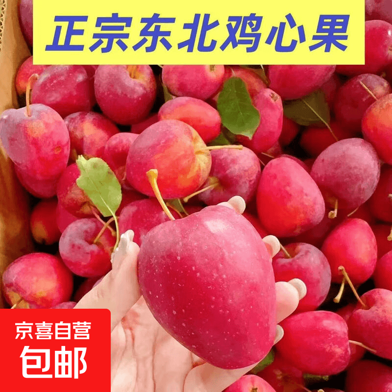 京喜加正宗东北沙果新鲜现摘酸甜沙果脆孕妇水果东北海棠果东北大沙果 带箱3斤净2.5斤