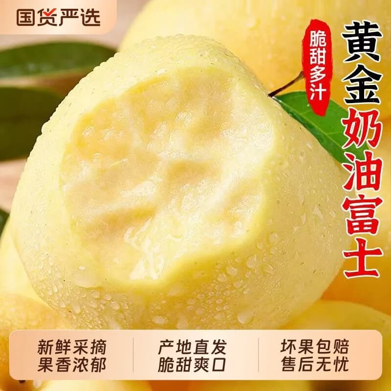【头茬鲜果】黄金奶油富士苹果水果当季新鲜山东烟台苹果整箱YD 净重4.5斤中果【单果75-80mm】【9-12个】